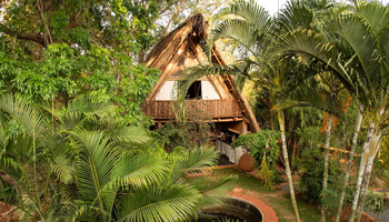 oasis luxury suites amenities